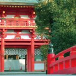 大宮でおすすめのメンズ脱毛ランキング