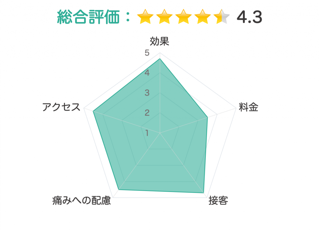 表参道スキンクリニック 評価チャート