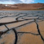植毛後のかさぶたについて