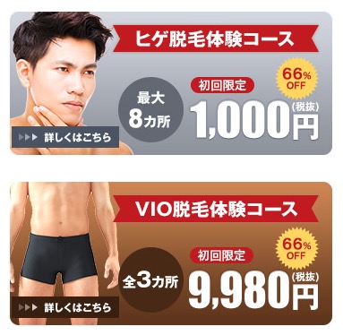 レイロール 体験コース