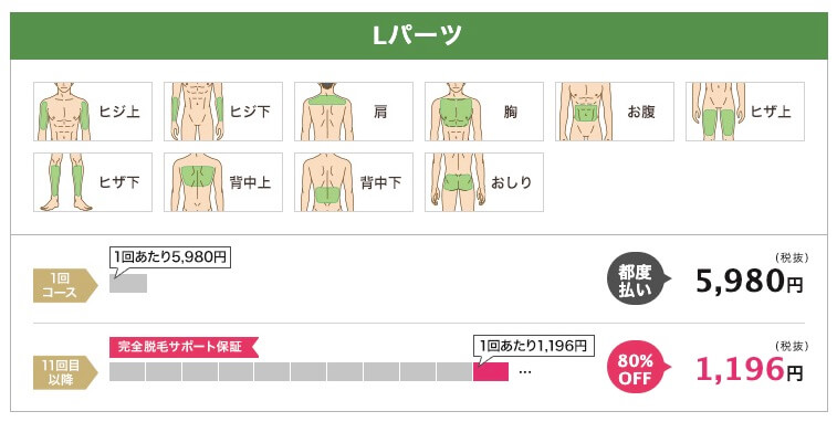レイロール 脱毛範囲Lパーツ