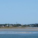 浜松でおすすめのメンズ脱毛ランキング