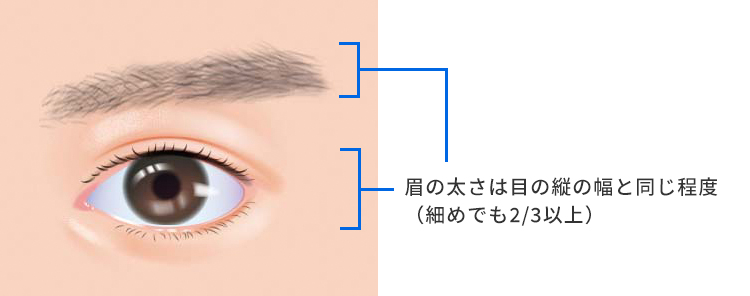 眉毛の太さは目の縦方向長さの2/3以上とする