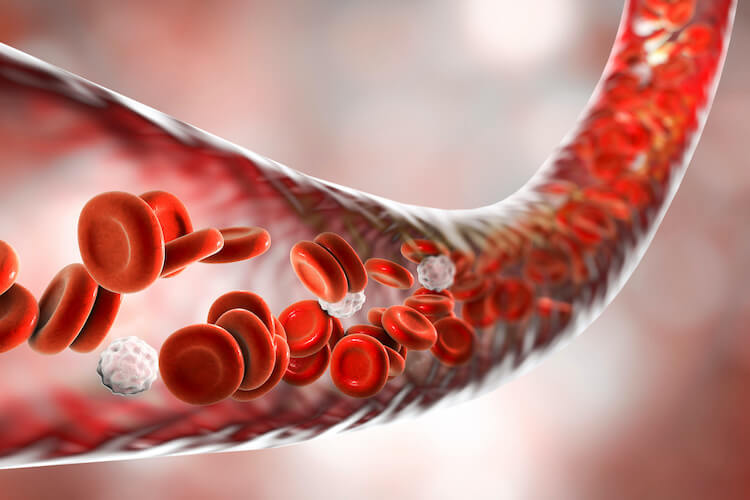 血管のイメージ