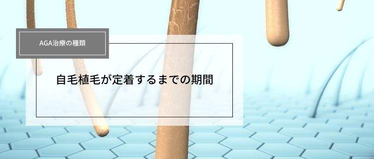 植毛の定着率は？定着率を上げる方法や後悔しないための注意点も