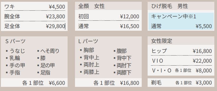 デザインビューティークリニック 料金表